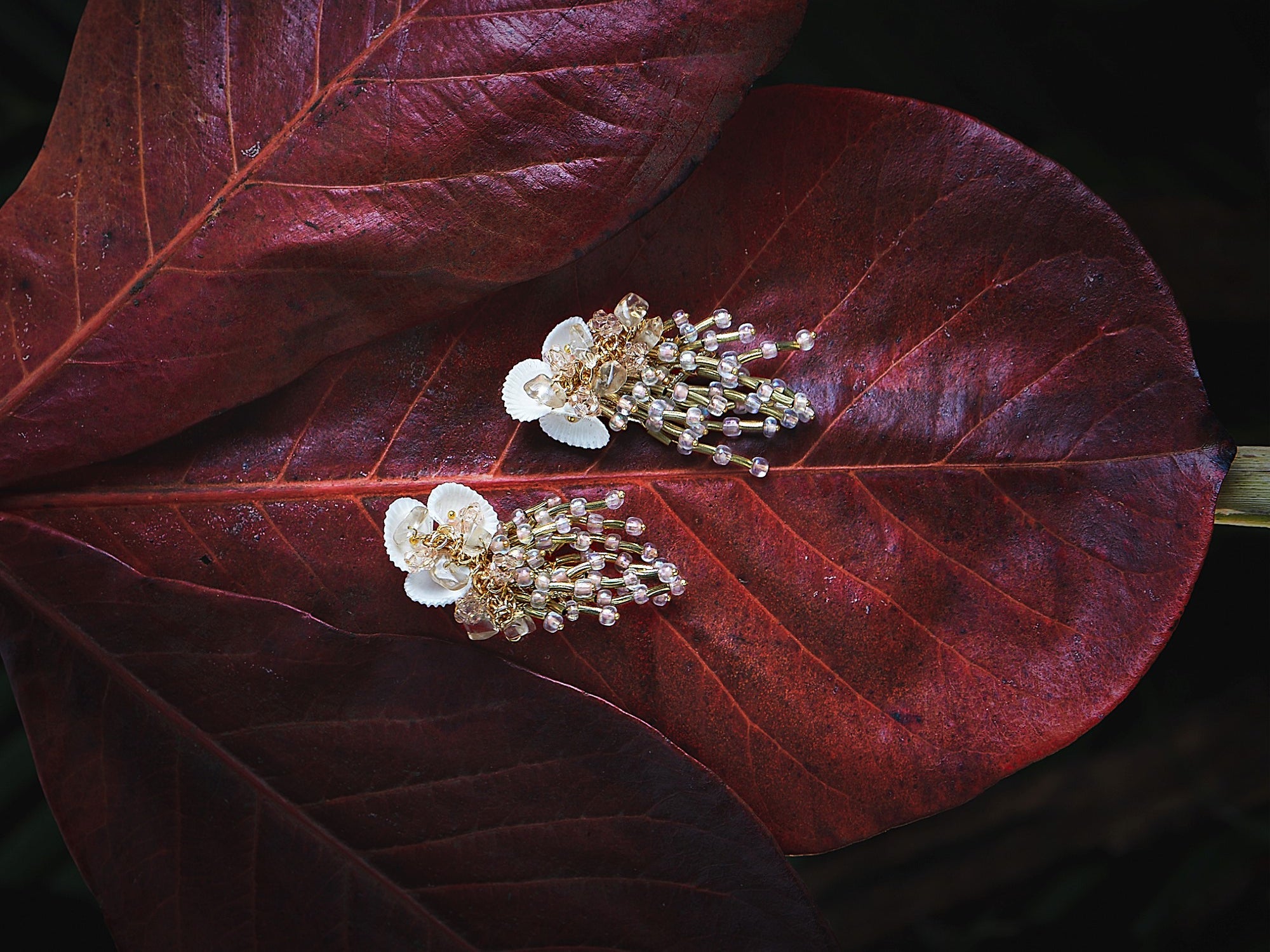 BEGONIA SHELL STUDS - House of Doro